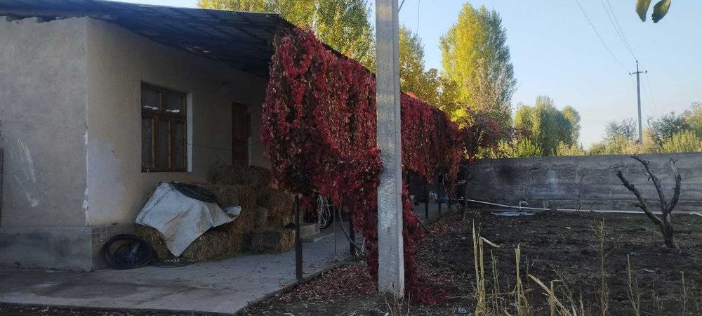 Продаётся дом участок.