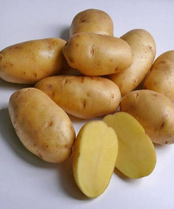 картошка на зиму
