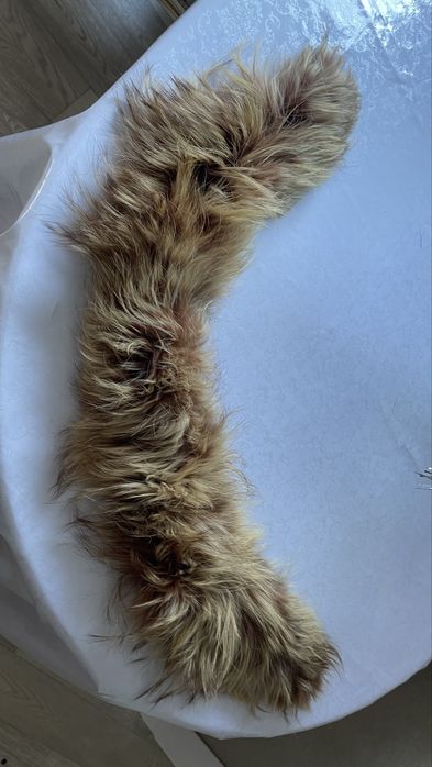 Костюмы  женские