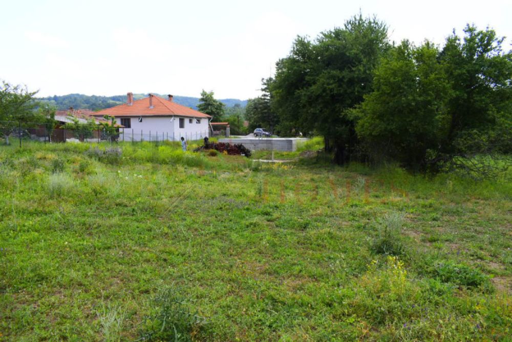 Продава се Парцел в с. Бадевци, Област Велико Търново - 1600 кв.м за 44 €/кв.м - Снимка #5