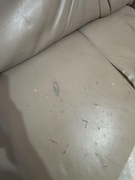 Продам кожаный диван