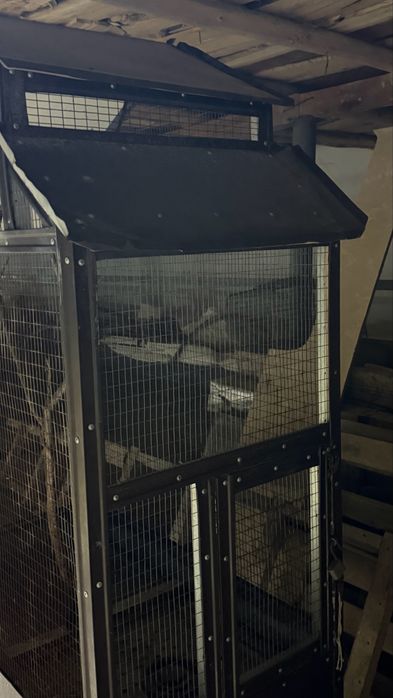 Клетка - большая декоративная клетка.