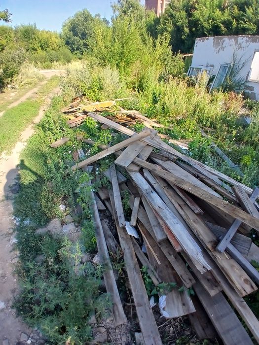 Әртүрлі ағаштар  30000тг