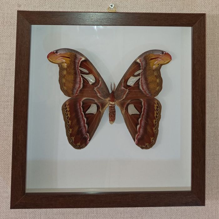 Подарок на новый год