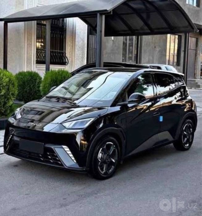 Byd Seagull 2024 sotiladi