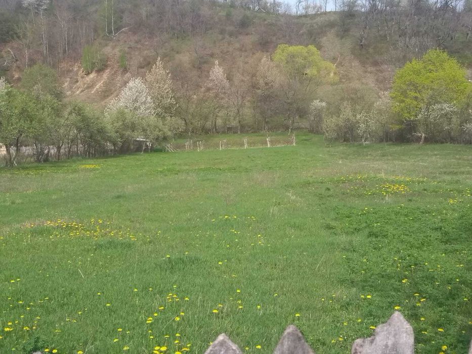 Vind 6800m² teren intravilan Polovragi, Gorj