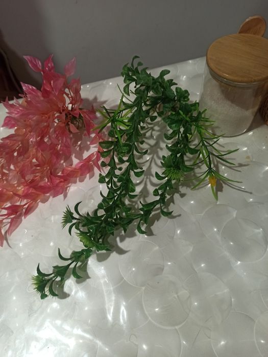 Продаю декорацию траву в аквариум за 2000 за одну шт.