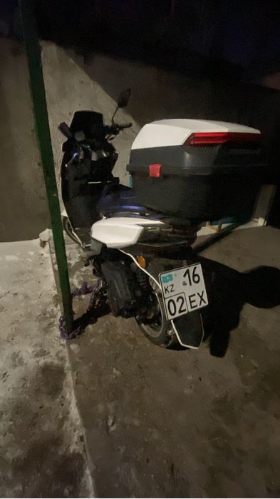 Макси лия maxi liya