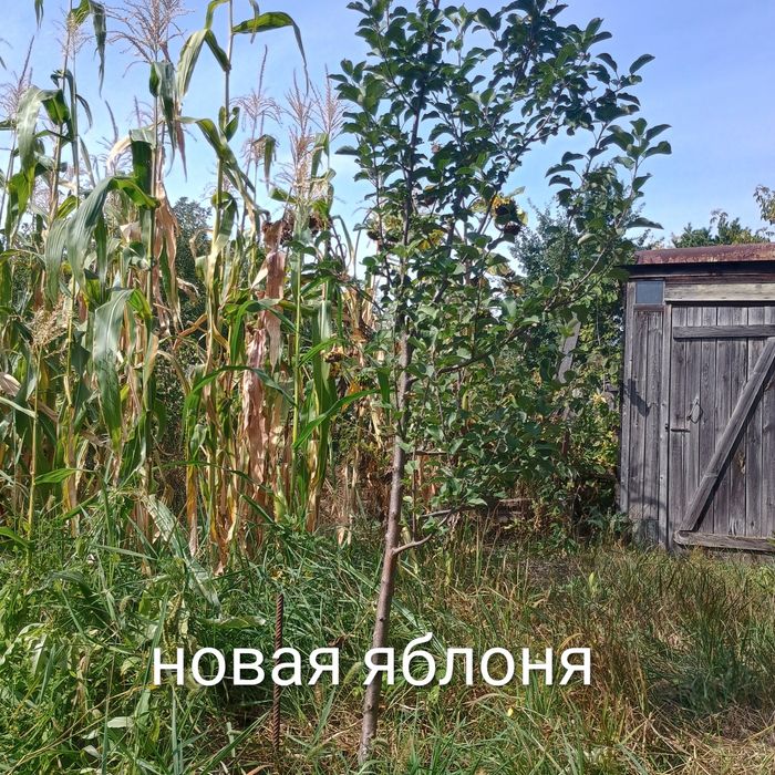 Продам дачу 19 маршрут