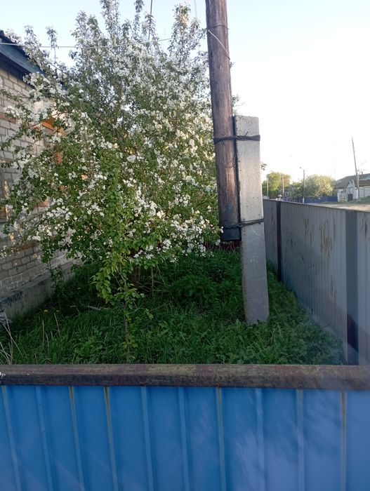 Продам дом село Озен