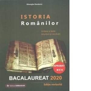 Meditatii Romana -Istorie orice nivel ! Bacalaureat, Academie,Tg. Ocna