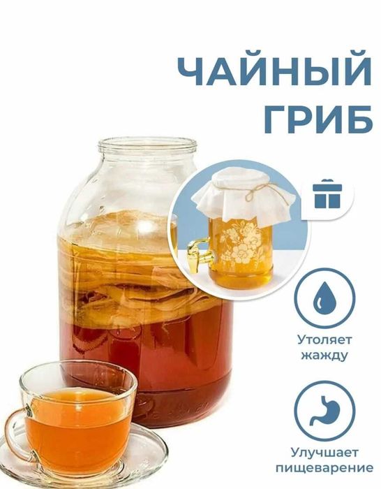 Чайный гриб комбуча