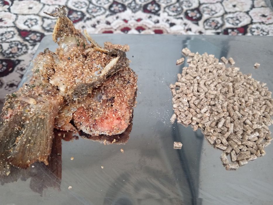 Granulyator Mustang 4Kw