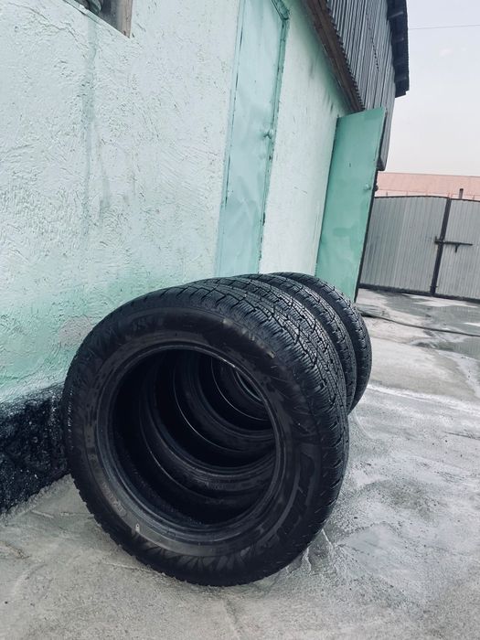 Состоинеси жаксы