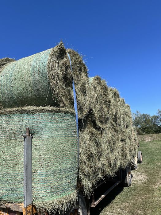 Vand baloti de otava si fan