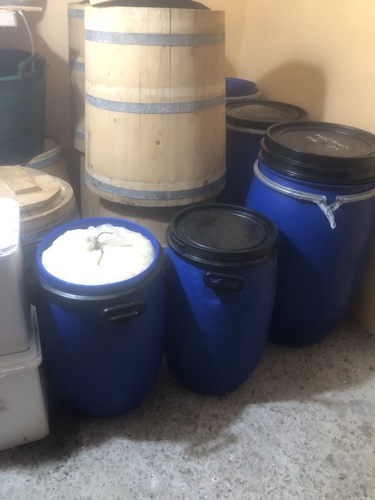 Vand  telemea de oaie facuta din lapte numai de iaie curat   bio