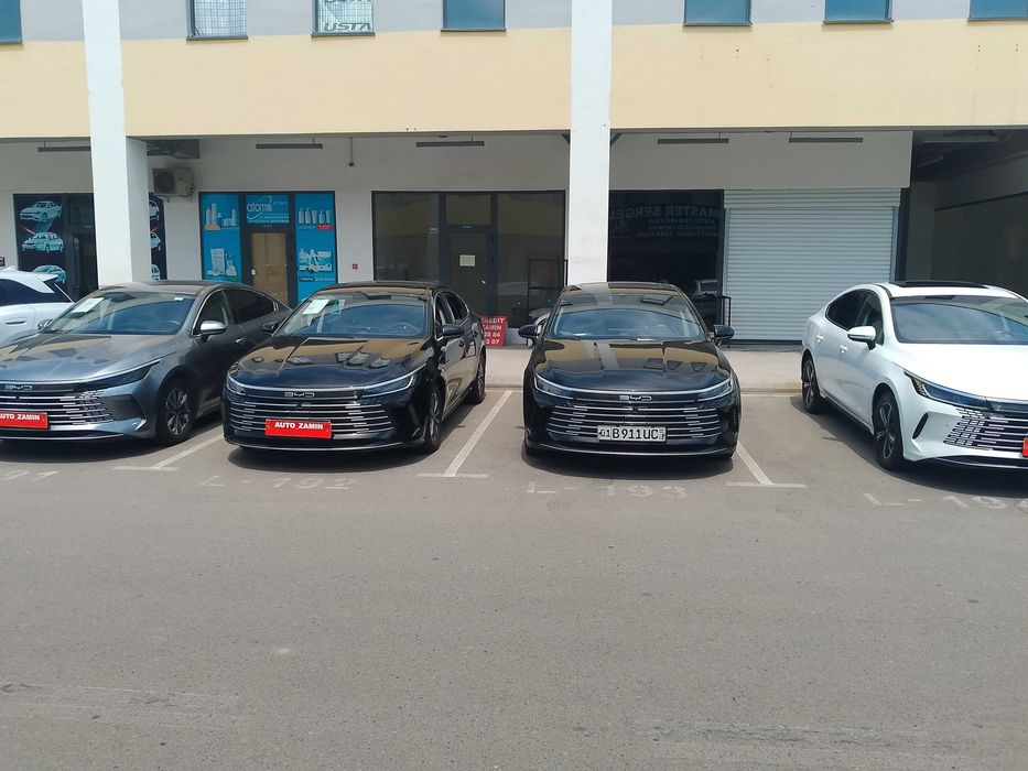 Chazor 55 taligdan 120 taliklar bor