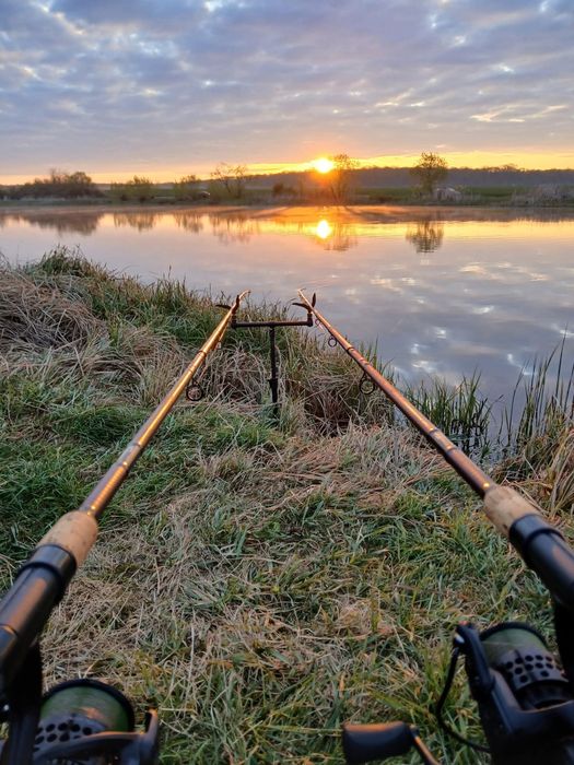 Vand doua bete fara mulinete Delphin Magma M3 Heavy Feeder