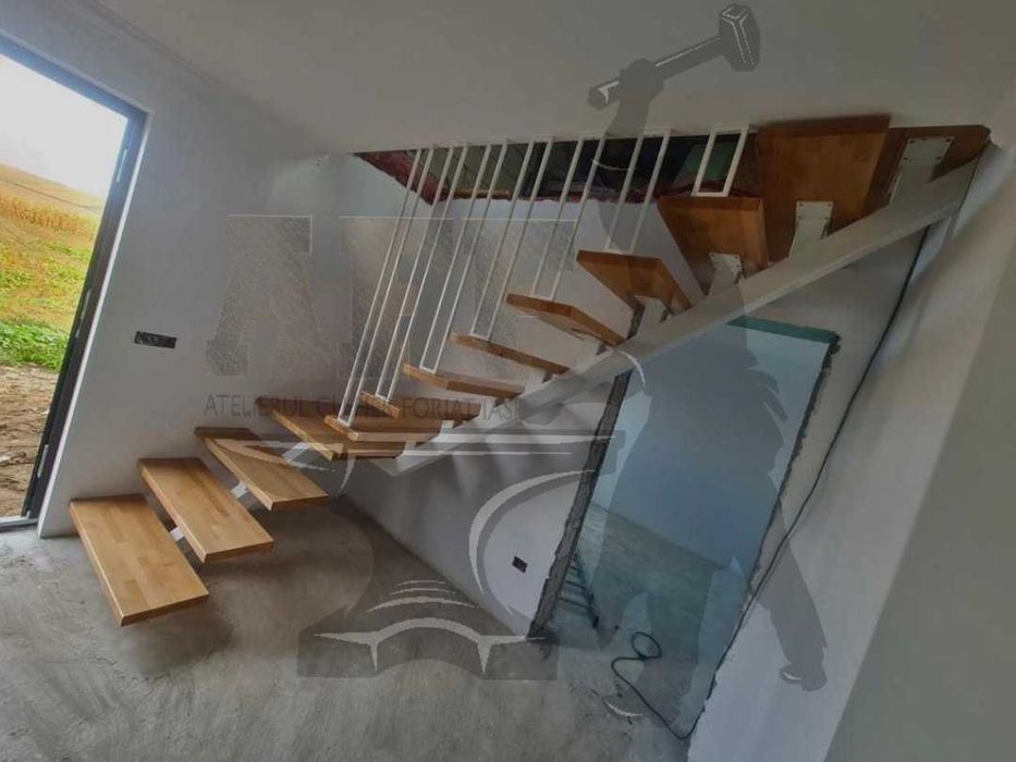 Scari interior + balustrada