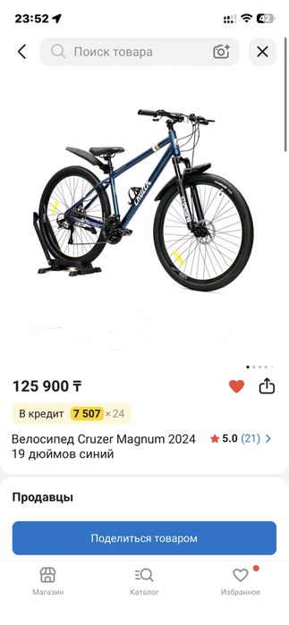 Cruzer magnum 29
