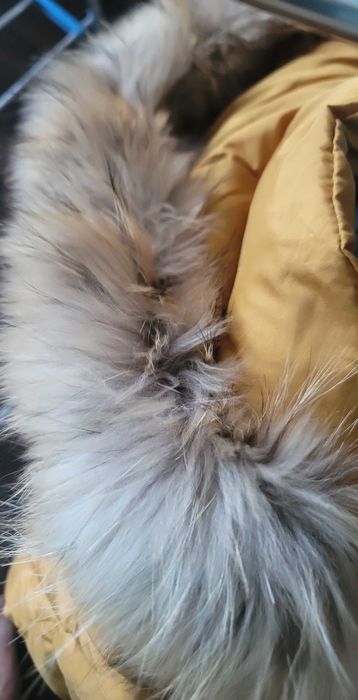 Продам куртки М/95, L/100