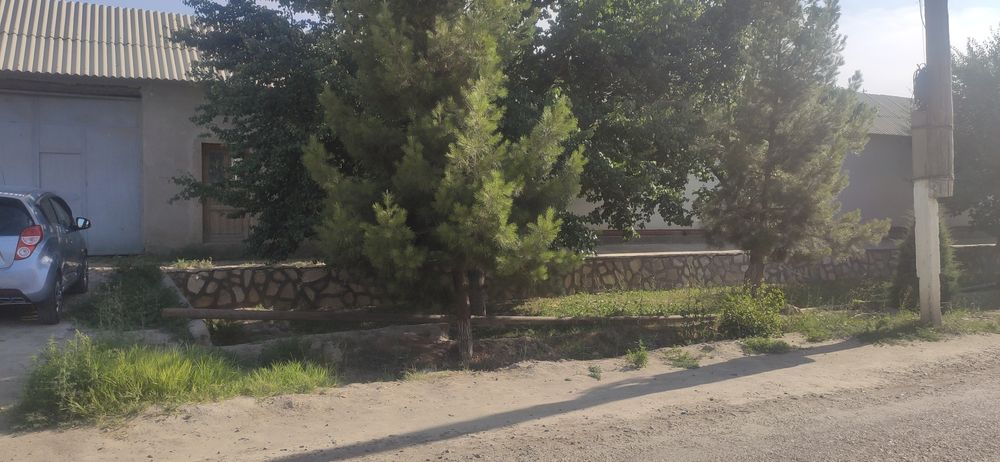 Xovli yer maydini bilan