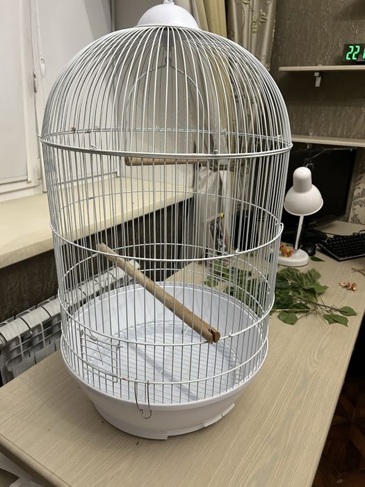 продам клетку для птиц