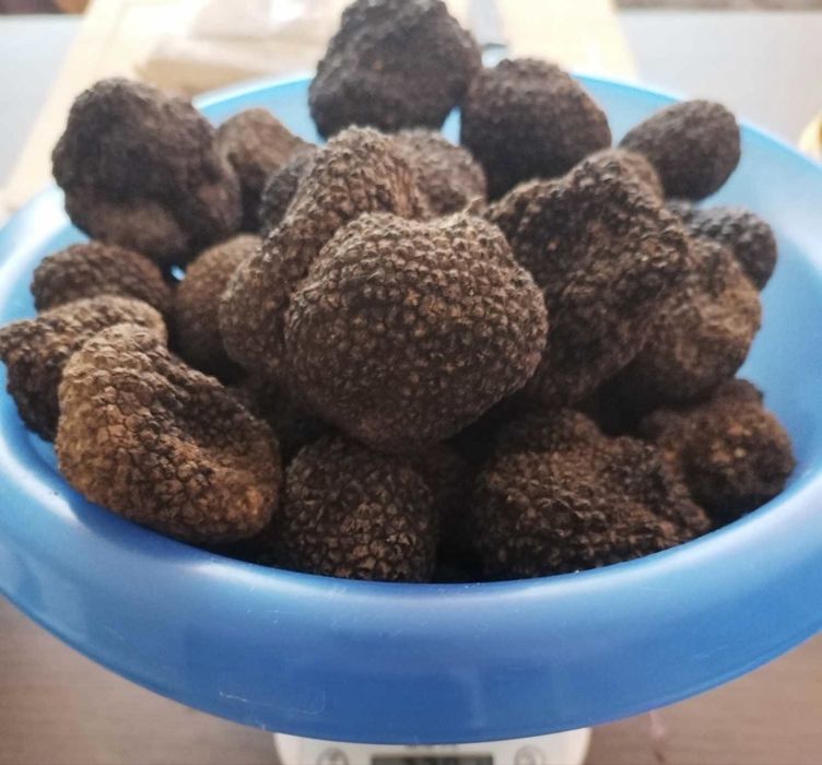 Trufe negre de iarnă