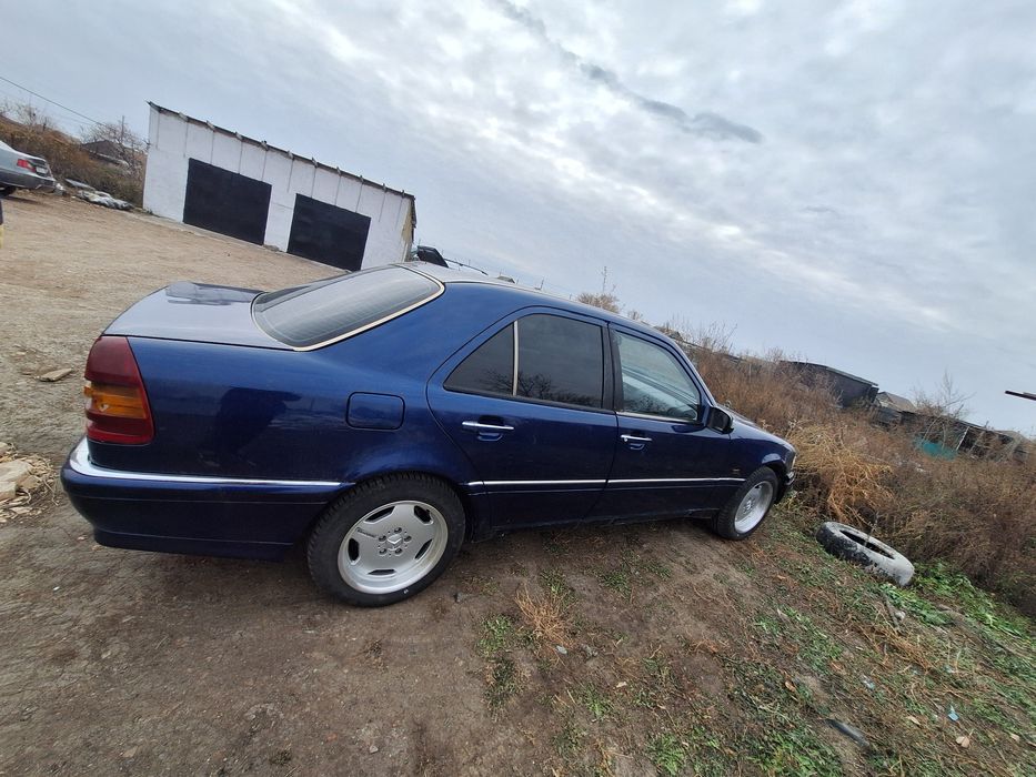 R16 amg черепахи