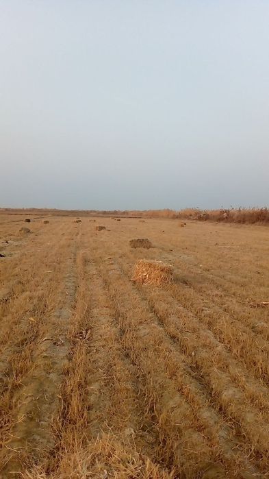 Макка прес сотилади