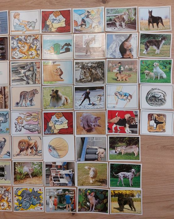 Лепенки с животни EDIZIONI PANINI, Made in Italy