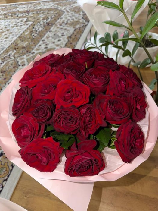 Сегодняшние цветы