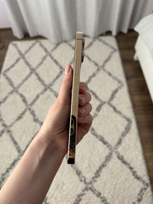iPhone 13 pro max 256 GB