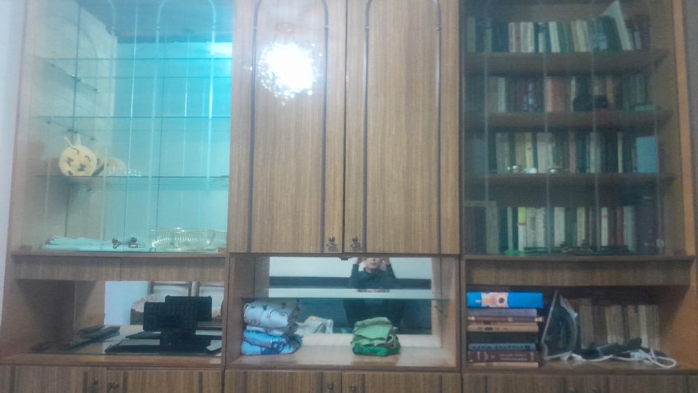 Отдам даром идиал состояние