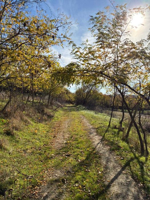 Teren intravilan 5140mp