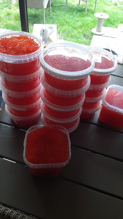 Icre rosii tip caviar