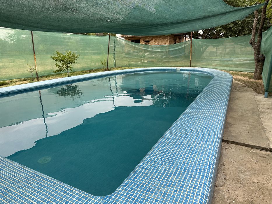 Эконом полив Микроклимат/туман.(качество и горантия)соя сетка теневая