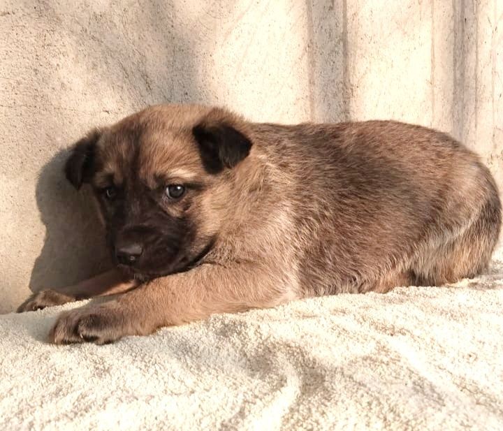 Добрые люди отзовитесь