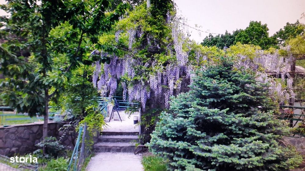 VILA SAFTICA individuala
