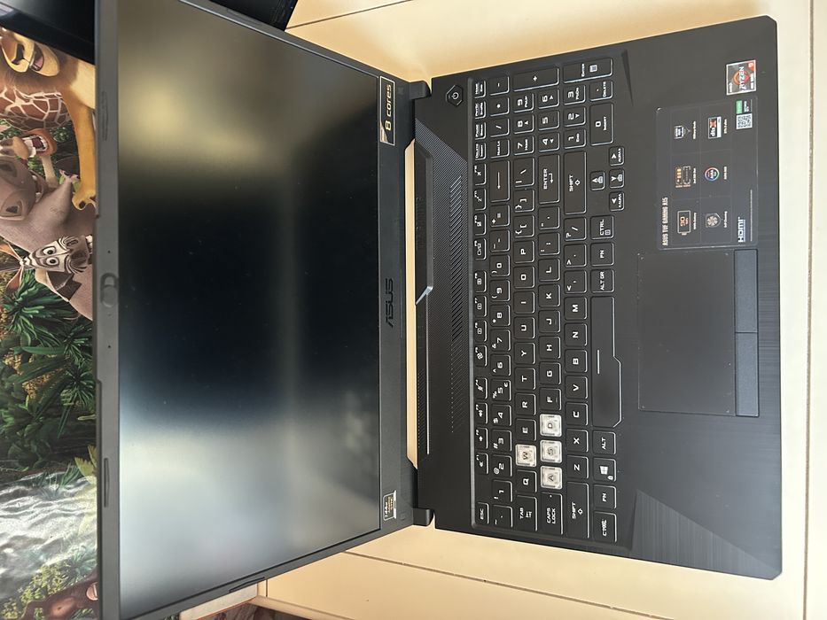 Laptop Gaming ASUS TUF A15 FA506IU