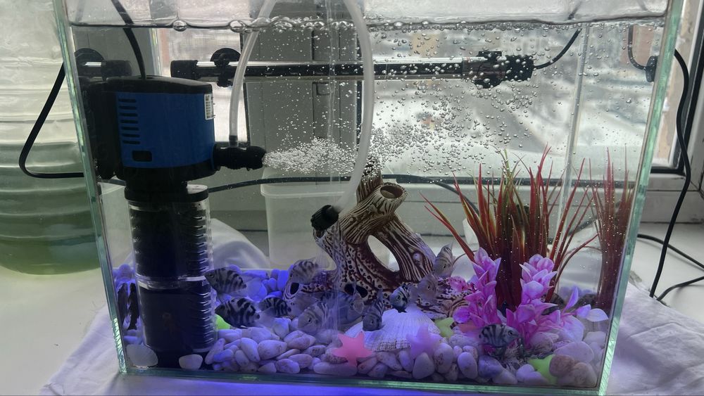 Аквариум Новый Для падорок