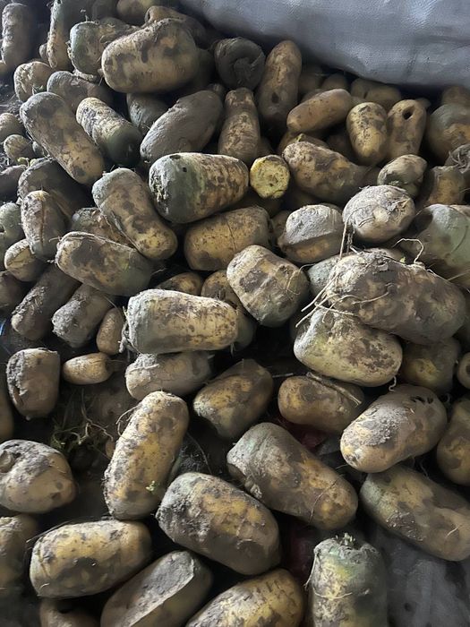 Могла атход сабзи