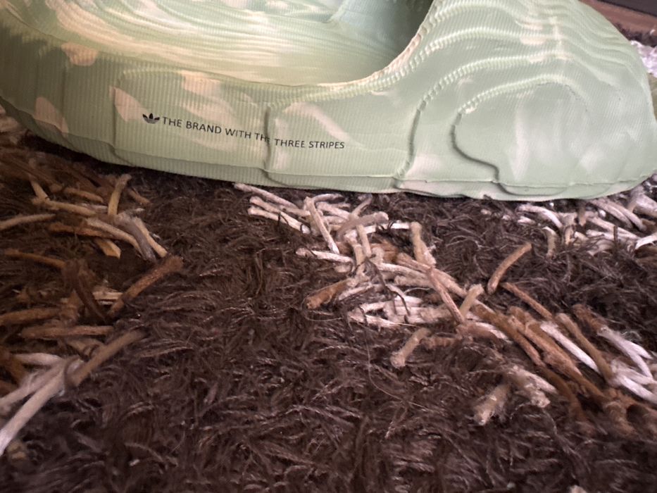 Vand slapi adidas