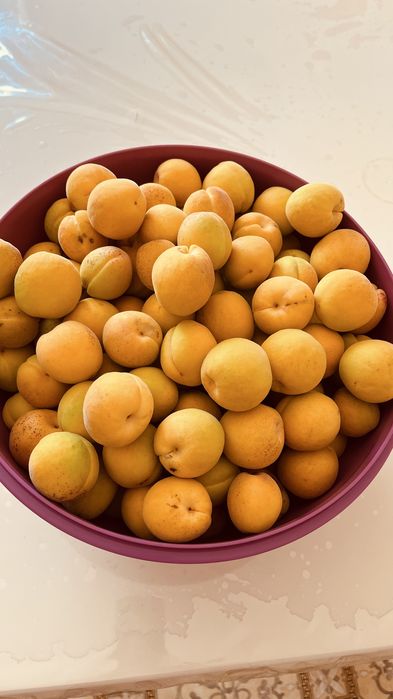 абрикос өзіміздің ауламыздан