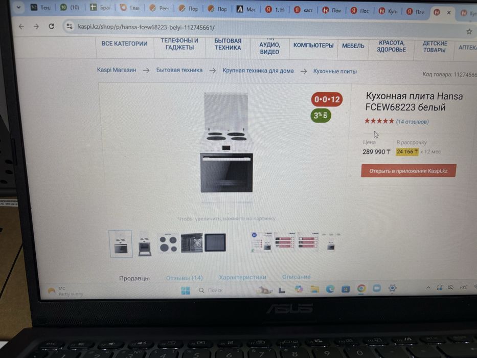 Кухонная плита Hansa