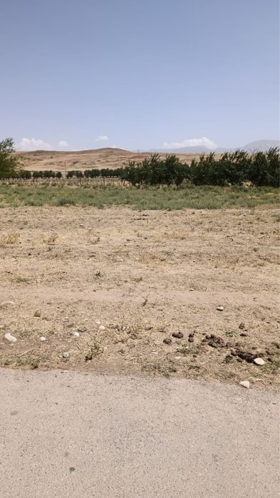 Жер сатылады 15 соттық