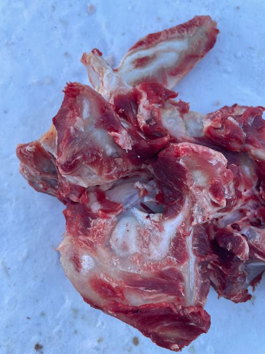 Кости для собак