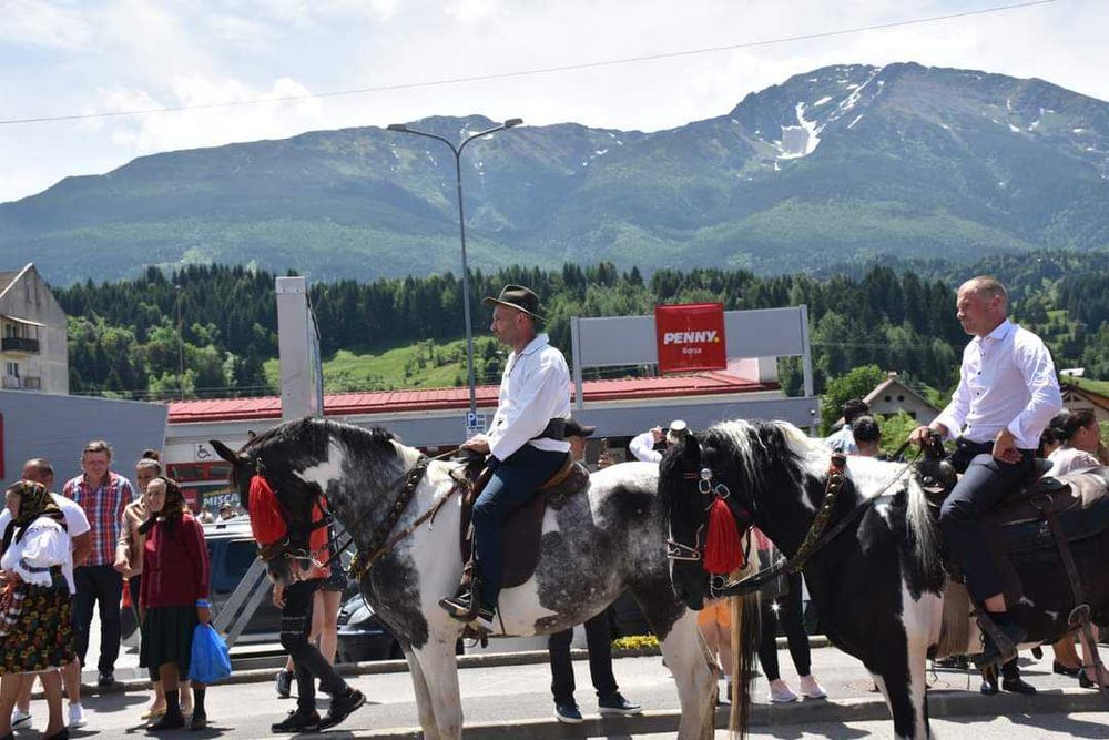 Iapa de calarie Apalusa din Olanda