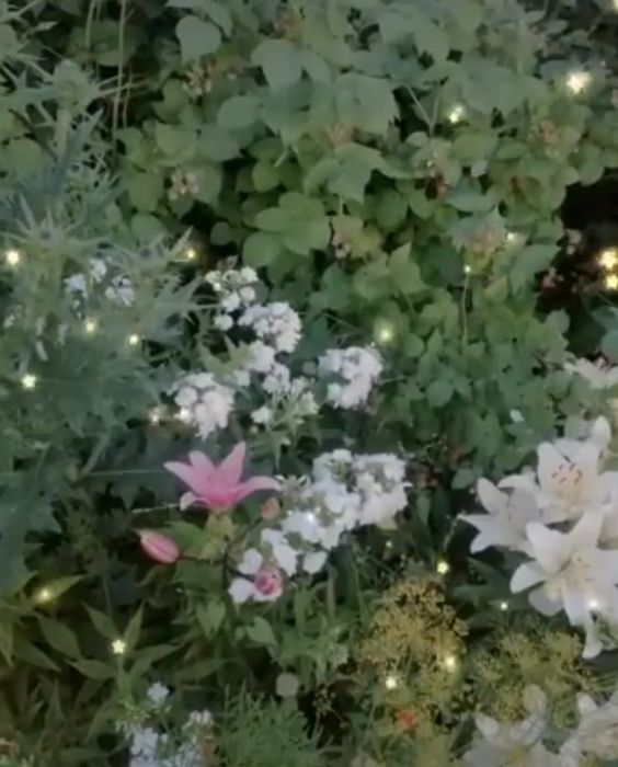 Продам дачу С/К Дорожник