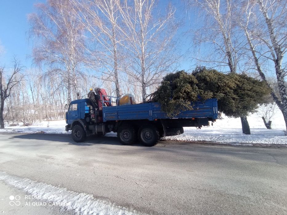Услуги манипулятора